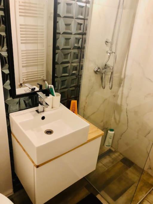 Joy City Stay Libertatii 9Mai 7 Тимишоара Экстерьер фото